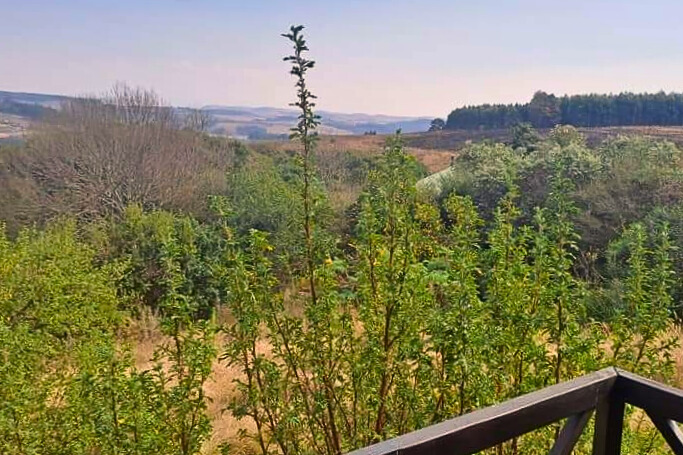 Superior Chalet View from Veranda